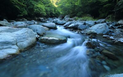 Flow Psychology: 5 Ways To Find Flow In Everyday Life